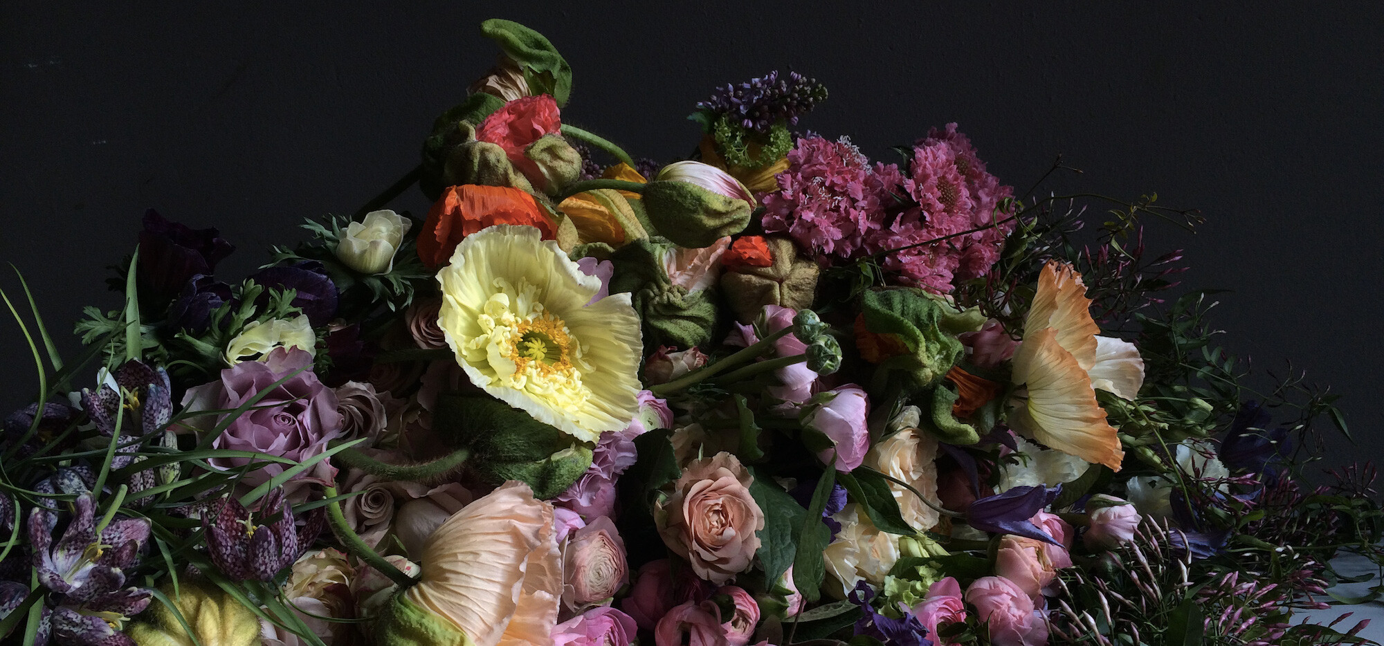 Top Blumenläden in Köln | Mr. Köln | Foto: Où j’ai grandi Top Blumenläden in Köln | Mr. Köln | Foto: Où j’ai grandi