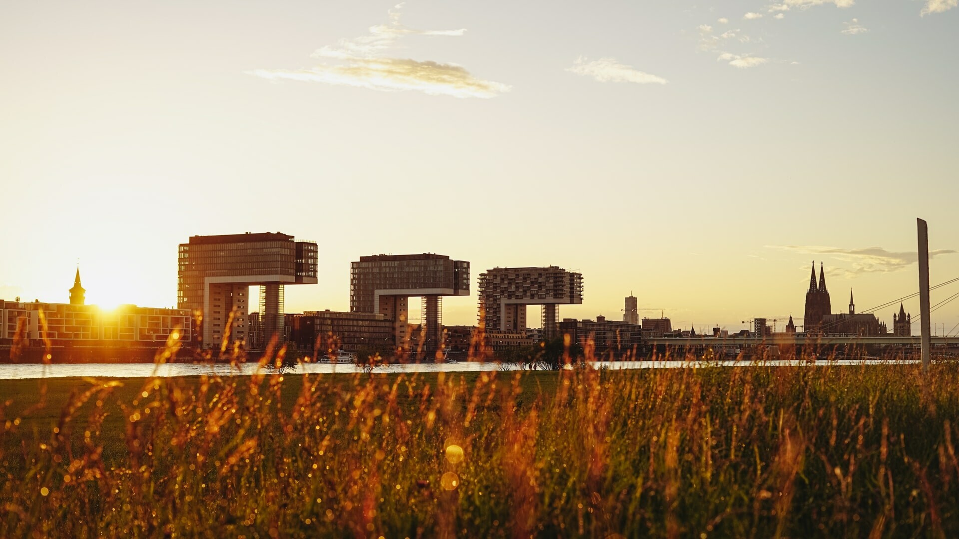 Die 8 Laufstrecken in Köln